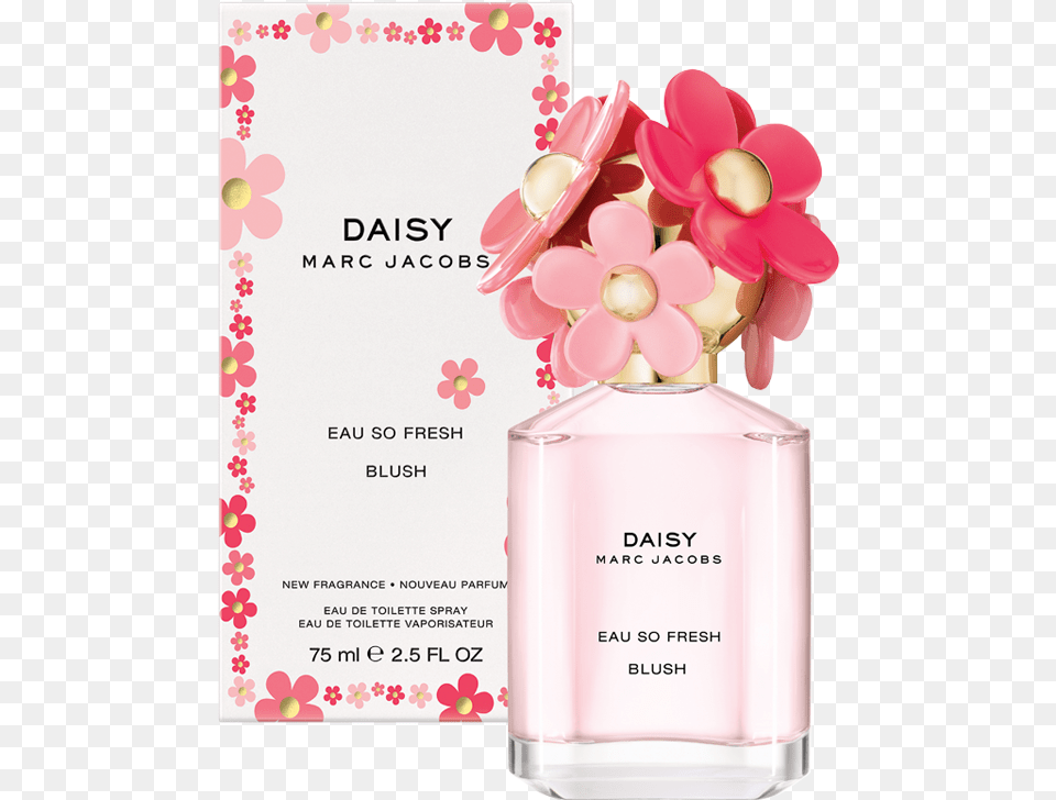 Daisy Eau So Fresh Blush Marc Jacobs Daisy Blush, Bottle, Cosmetics, Perfume, Flower Free Png