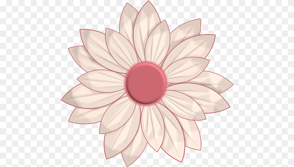 Daisy Family, Dahlia, Flower, Plant, Petal Free Transparent Png