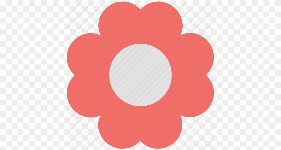 Daisy Floral Flower Petals Garden Daisy Petals Icon, Anemone, Plant, Ping Pong, Ping Pong Paddle Png Image