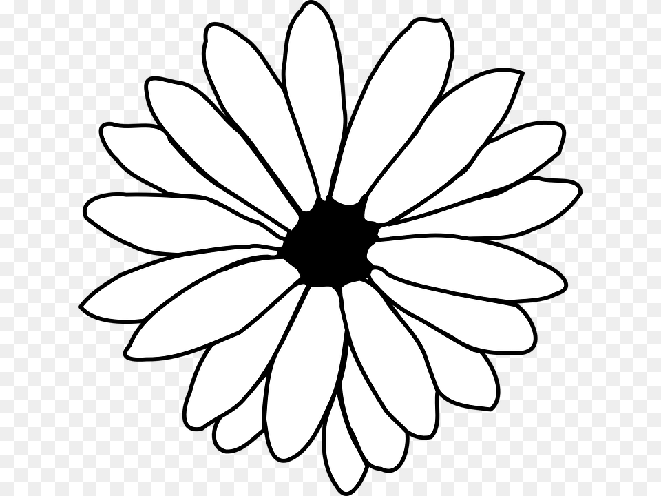 Daisy Flower Black And White Clipart, Plant, Appliance, Ceiling Fan, Device Free Transparent Png