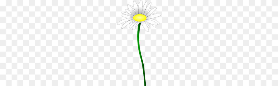 Daisy Flower Clip Art, Plant, Chandelier, Lamp, Cross Free Png Download