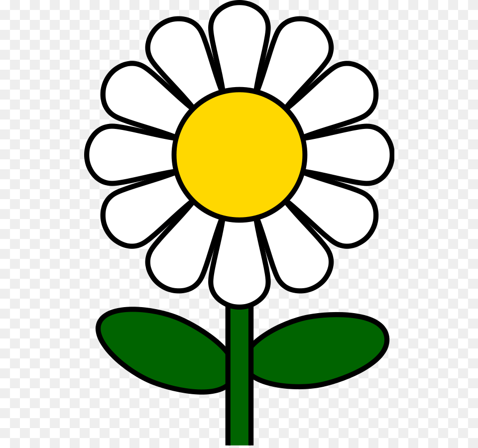 Daisy Flower Clip Art, Plant Png