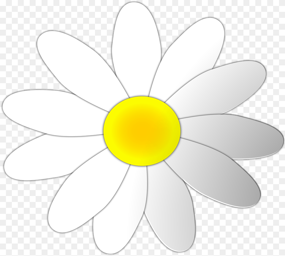Daisy Flower Clip Art Clipart Download Harold And Maude Art, Anemone, Plant, Petal, Appliance Free Png