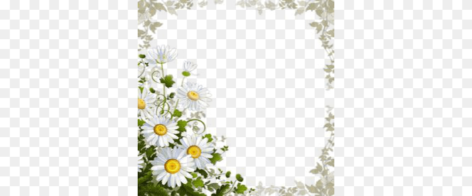 Daisy Flower Frame Daisy Frame, Art, Collage, Pattern, Purple Png Image
