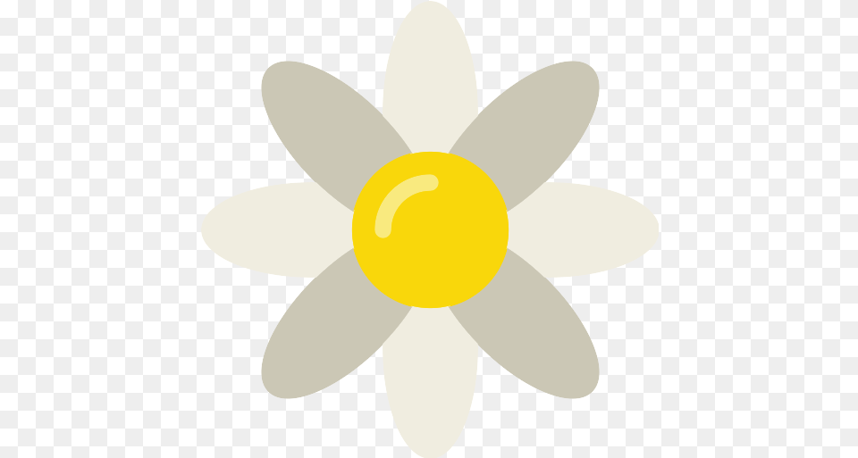 Daisy Flower Icon 10 Repo Icons Logos De Estetica Y Spa, Anemone, Plant, Petal, Daffodil Free Png
