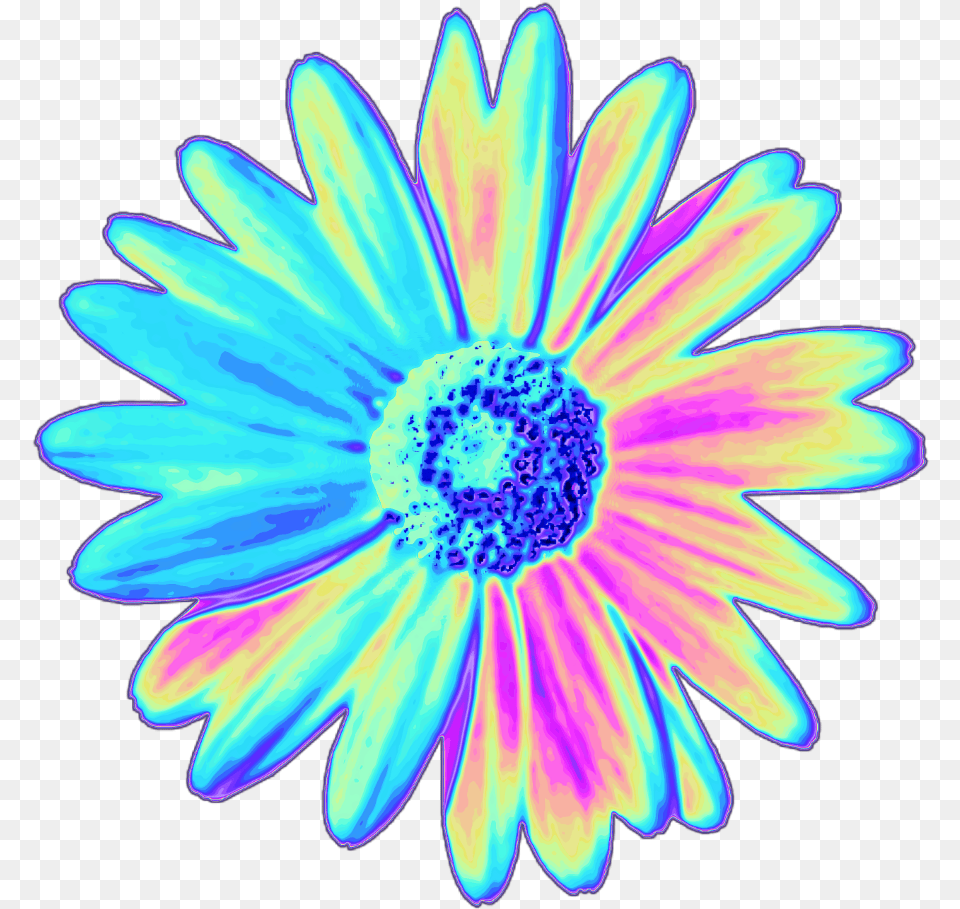 Daisy Holographic Flower Flower Holo Holographic Tumblr Stickers Picsart, Plant Free Transparent Png