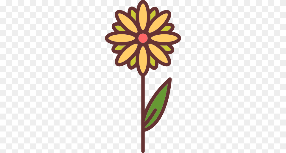 Daisy Icon, Dahlia, Flower, Plant, Petal Free Png Download