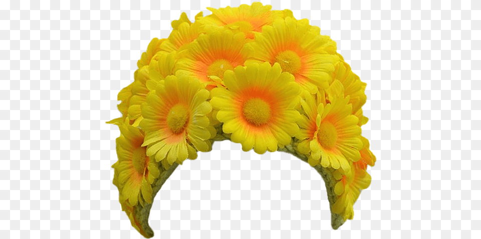 Daisy Marigold Head Crown Sticker By Bibek Kumar Shah Flower Hair Band, Cap, Clothing, Hat, Plant Free Png