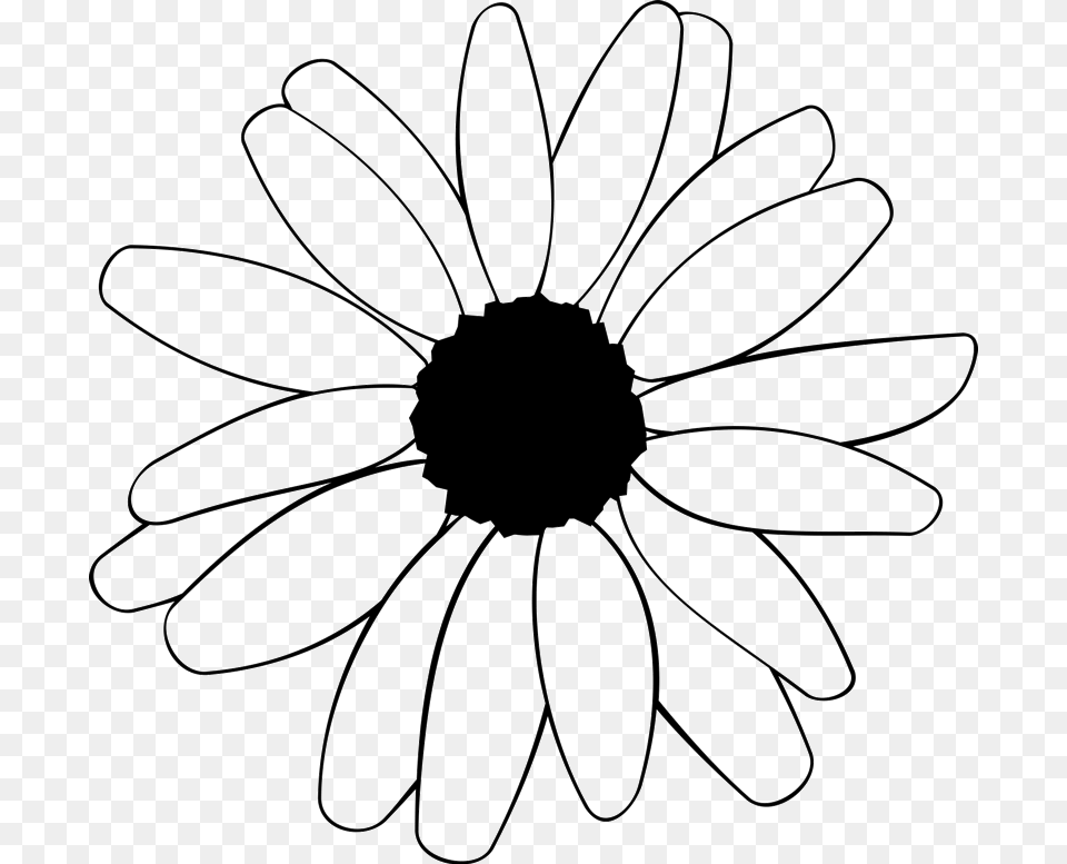 Daisy Outline Clip Library Download White Outline Daisy, Flower, Plant, Appliance, Ceiling Fan Png