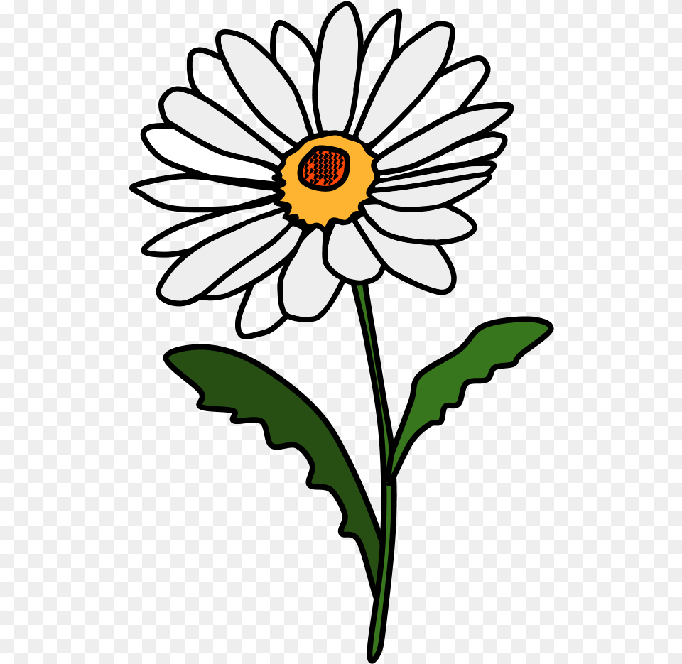 Daisy Petals White Red Daisy Clip Art, Flower, Plant, Animal, Fish Free Transparent Png