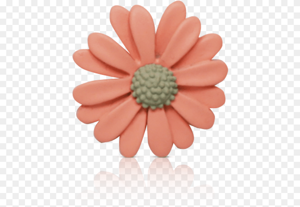 Daisy Pink Gerbera, Flower, Plant, Petal, Food Png