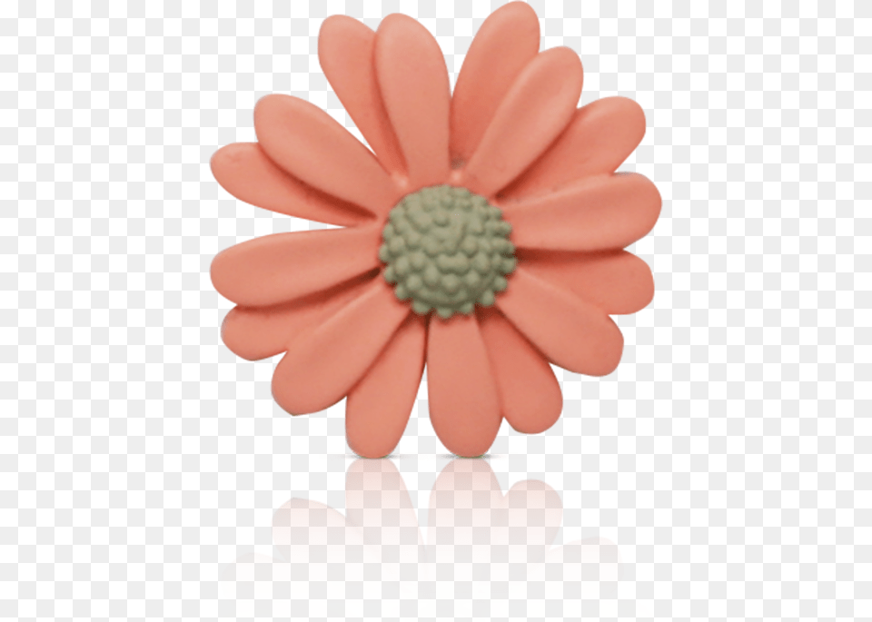 Daisy Pink Gerbera, Plant, Flower, Accessories, Pineapple Png