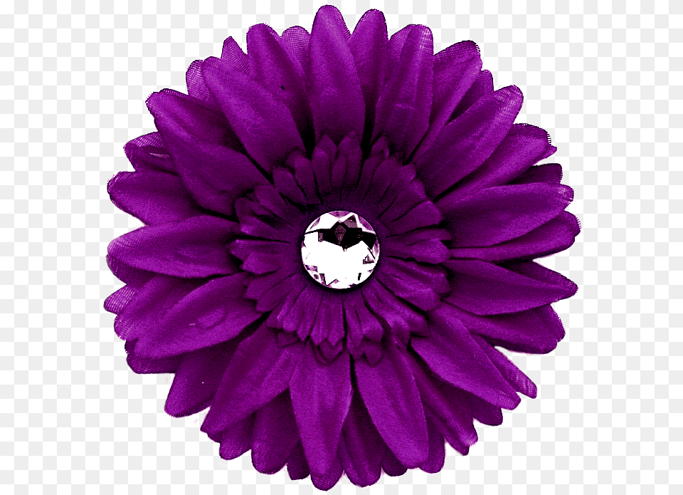 Daisy Purple With Transparent Background Arts Daisy Flower Red, Dahlia, Petal, Plant, Rose Png Image