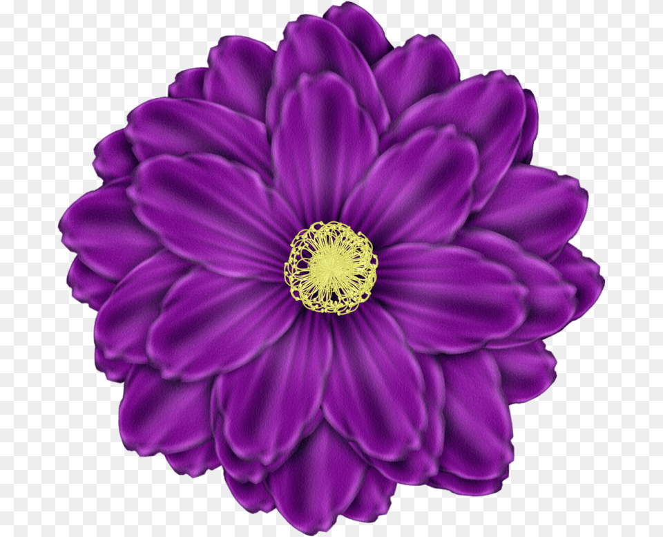 Daisy Purple Image Purple Flower Clipart, Dahlia, Plant, Rose, Petal Free Transparent Png