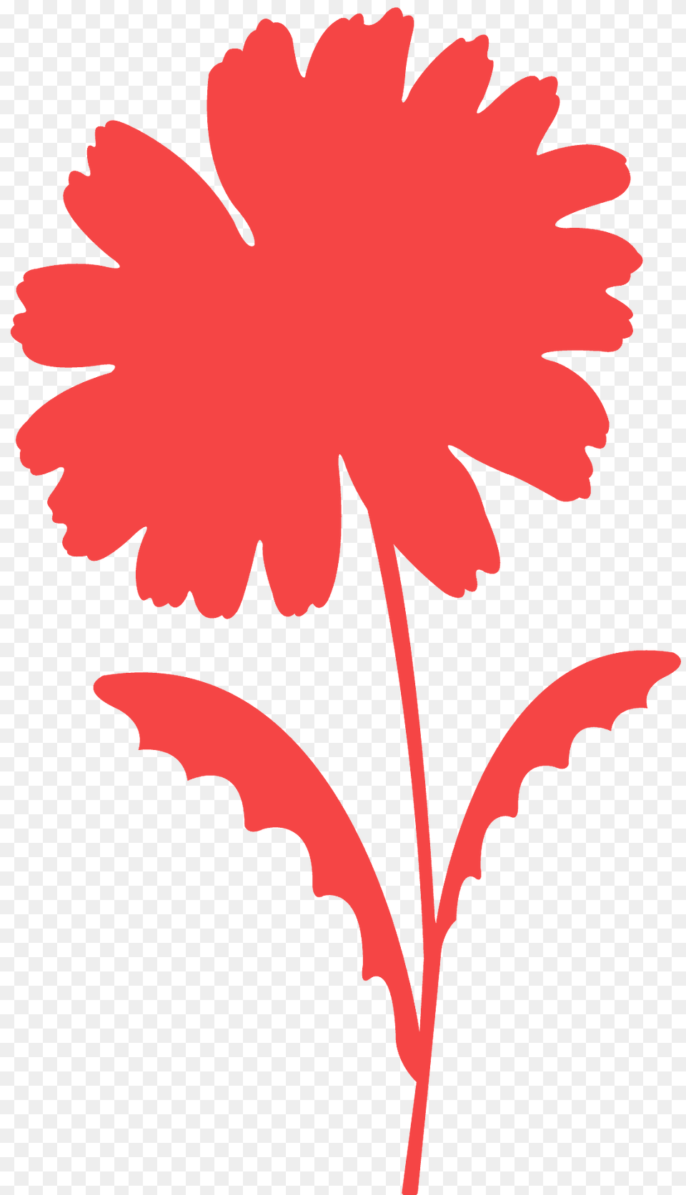 Daisy Silhouette, Plant, Flower, Petal, Pattern Free Transparent Png