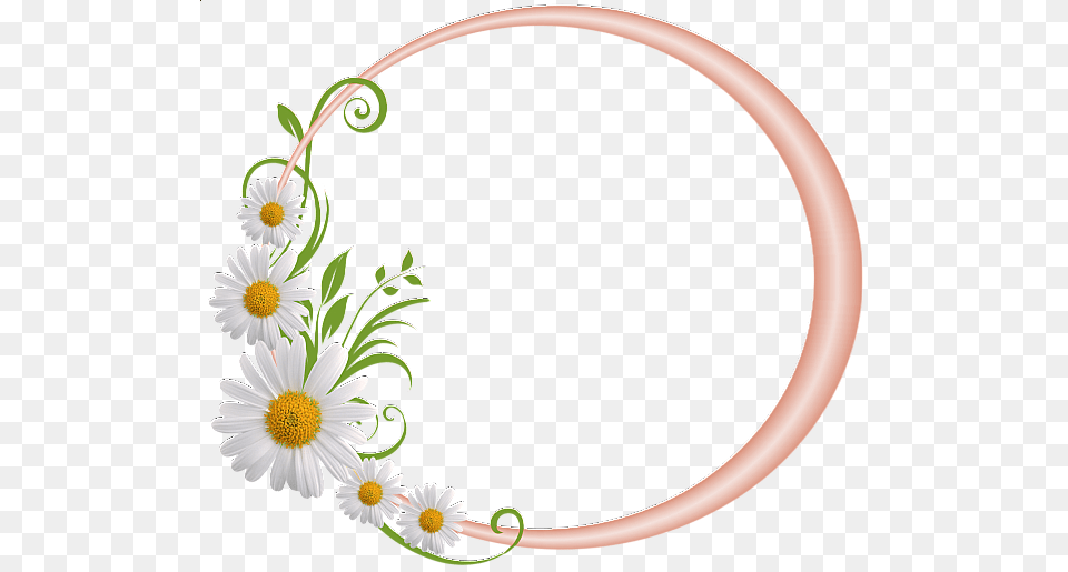 Daisy Silver Round Frame, Flower, Plant, Pattern, Anther Png Image