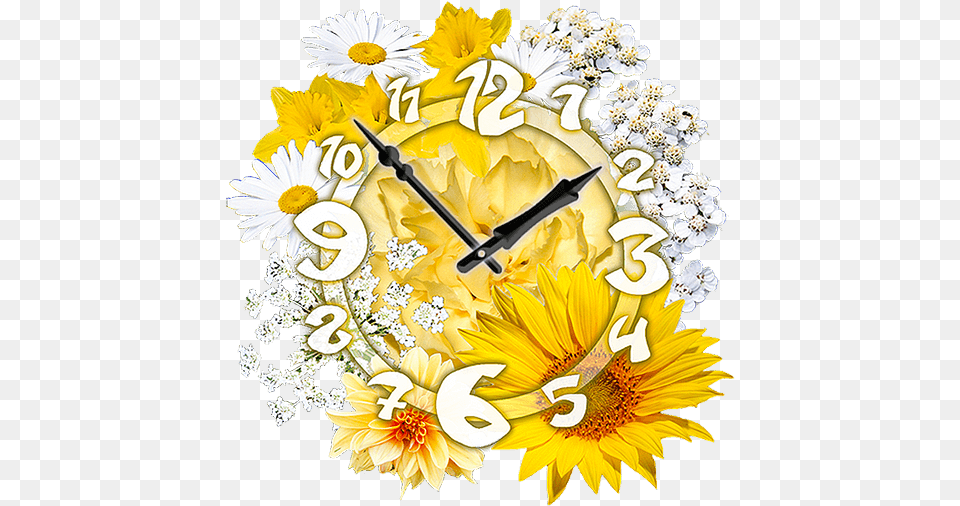 Daisy Sun Flower Clock Widget Apk 1 Decorative, Analog Clock, Wall Clock, Plant, Blade Free Png Download