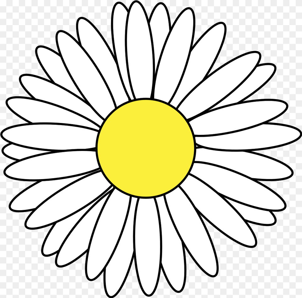 Daisy Svg Flower Vector Margarita, Plant Free Png