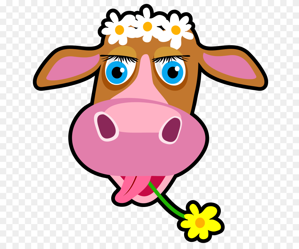 Daisy The Cow, Snout, Flower, Plant, Animal Free Png