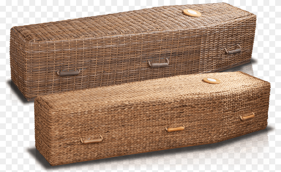 Daisy Trunk, Baggage Free Transparent Png