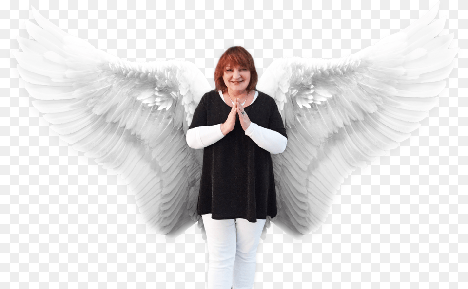 Daisy Wings Cut Out, Angel, Woman, Person, Female Png Image