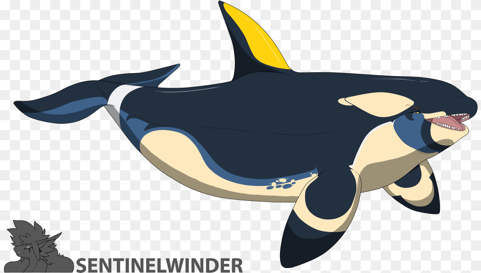 Dakota Orca Killer Whale, Animal, Fish, Sea Life, Shark Free Transparent Png