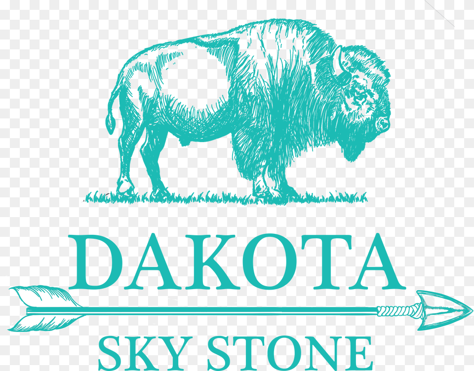 Dakota Sky Stone Beacom School Of Business Logo, Animal, Buffalo, Mammal, Wildlife Png