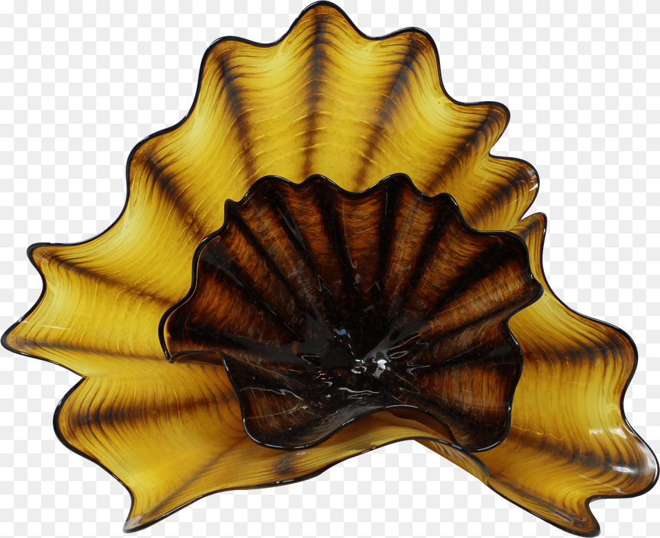 Dale Chihuly Sea Form Art Piece Art Free Transparent Png