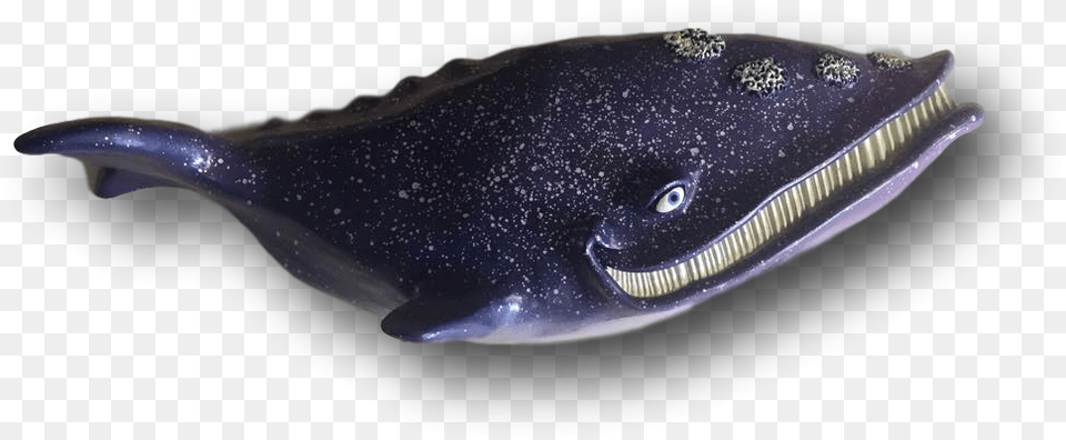 Dale The Whale Fish With Attitude Forage Fish, Animal, Mammal, Sea Life Png Image