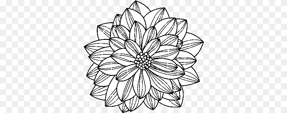 Dalia Para Colorear Drawing, Dahlia, Flower, Plant, Daisy Png