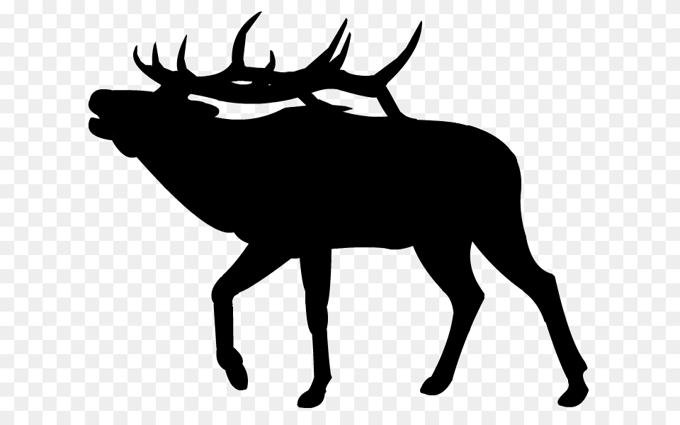 Dall Sheep Clipart Bull Elk, Gray Free Transparent Png