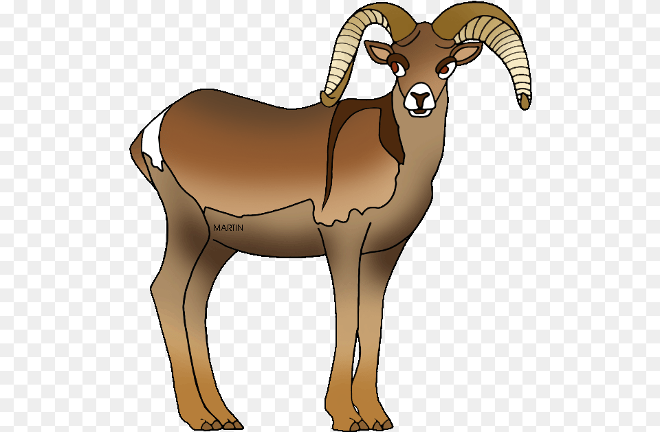 Dall Sheep Clipart Ram Pencil And In Color Dall Sheep Nevada State Animal Bighorn Sheep, Mammal, Antelope, Impala, Wildlife Png