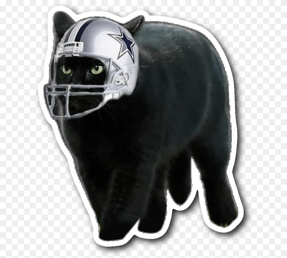 Dallas Cowboys Black Cat, Helmet, American Football, Playing American Football, Person Free Png