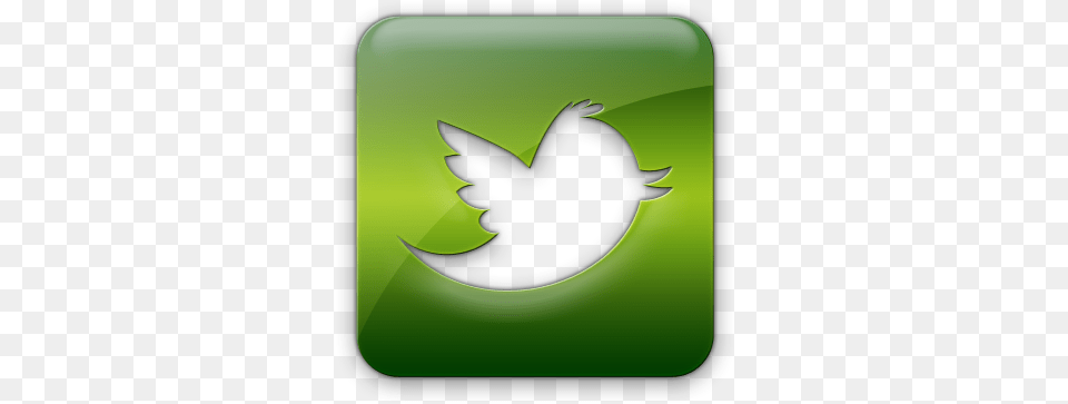 Dallas Green Official Twitter Logo Green Twitter Logo, Symbol, Hot Tub, Tub Png