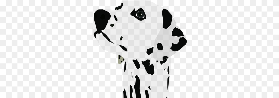 Dalmatian Animal, Canine, Mammal, Person Free Png