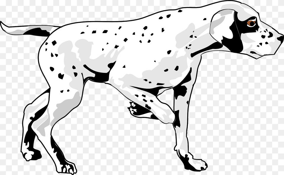 Dalmatian Dog Clipart, Animal, Pet, Canine, Mammal Free Transparent Png