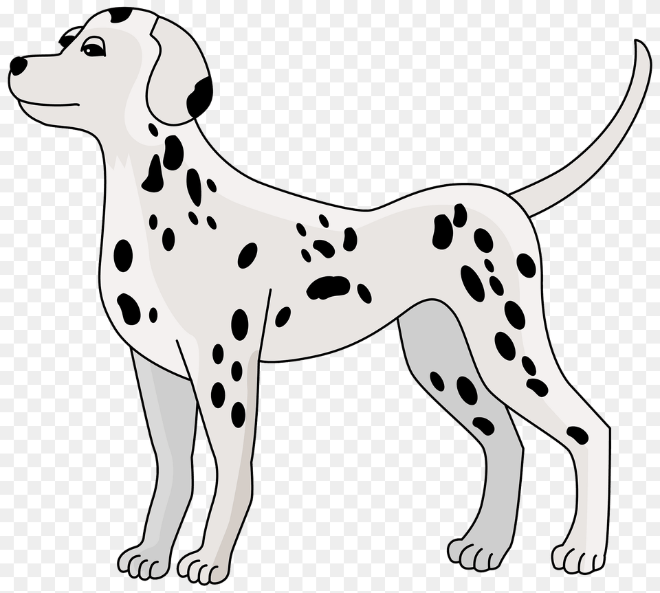 Dalmatian Dog Clipart, Animal, Canine, Mammal, Pet Png Image