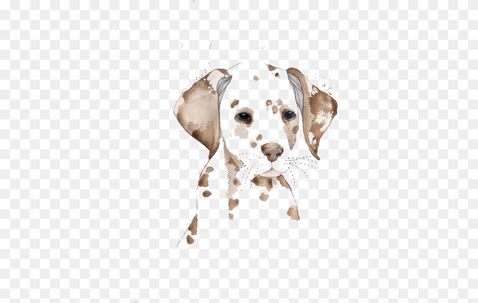 Dalmatian Dog Watercolor Painting Dogs To Water Watercolor, Adult, Wedding, Person, Female Png