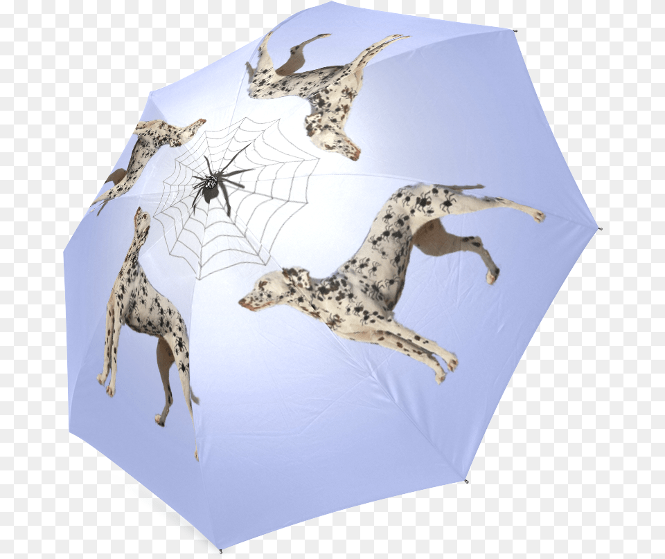 Dalmatian Funny Spider Spots Foldable Umbrella Giraffe, Canopy, Animal, Canine, Dog Free Transparent Png