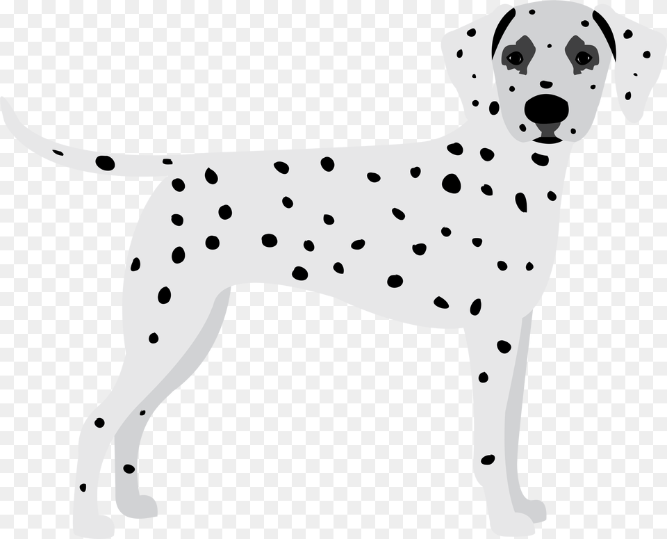 Dalmatian Image With No Background Dot, Animal, Canine, Mammal, Dog Free Png Download