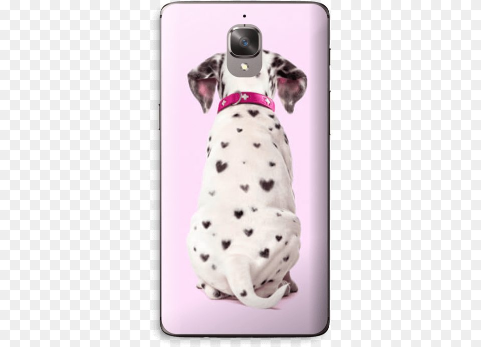 Dalmatian Love Skin Oneplus Dalmatian Dog, Animal, Canine, Mammal, Pet Free Png Download