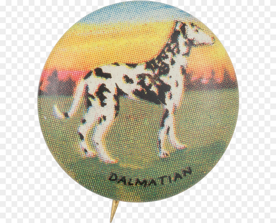 Dalmatian Museum, Home Decor, Accessories, Animal, Canine Free Png Download