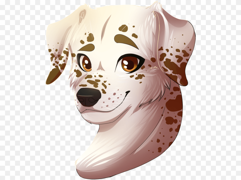 Dalmation By Riverspirit456 D8v1ufh Riverspirit456 Dog, Snout, Adult, Person, Woman Free Png Download