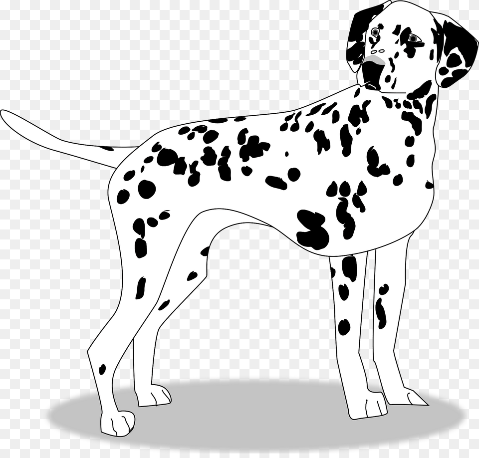 Dalmation Dog Clipart, Animal, Canine, Mammal, Pet Free Transparent Png