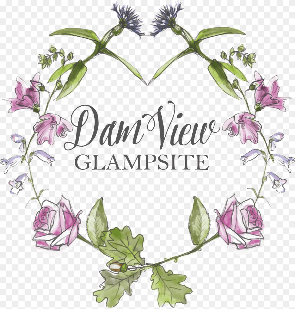 Dam View Glampsite Rosa Glauca, Herbal, Plant, Herbs, Leaf Png