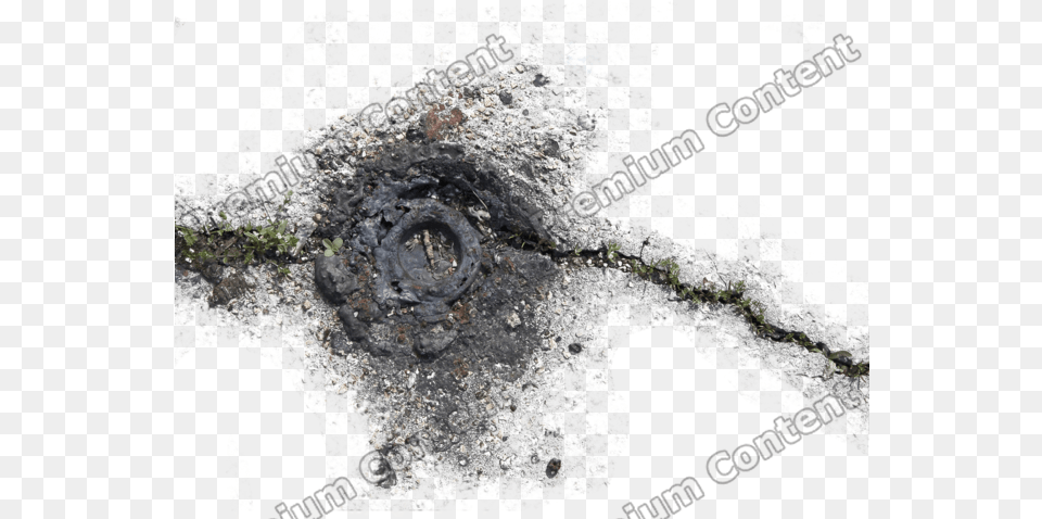 Damage Decals Garden Roses, Tar, Person, Rock, Hole Png Image