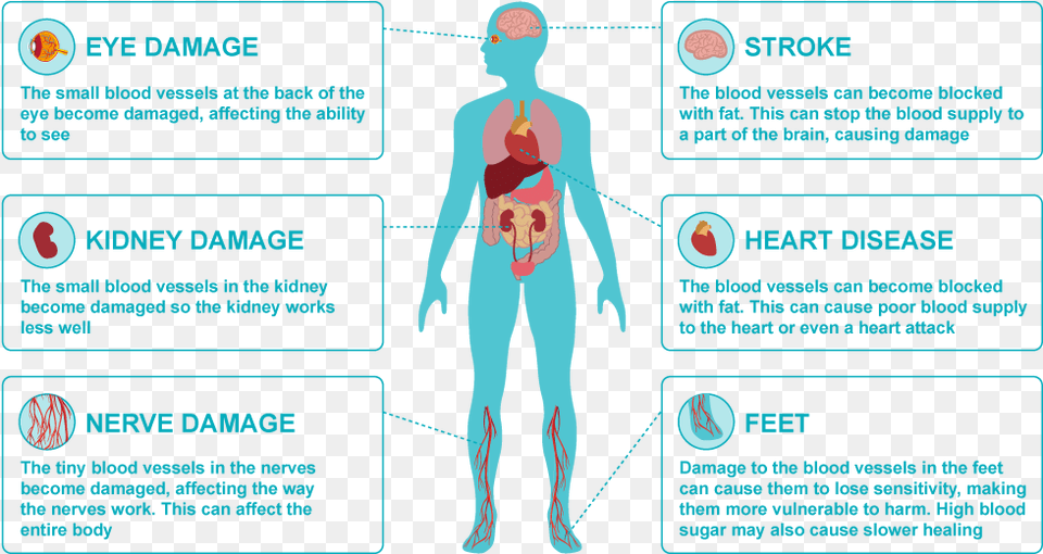 Damage Problems Can Diabetes Cause, Chart, Plot, Adult, Male Png Image
