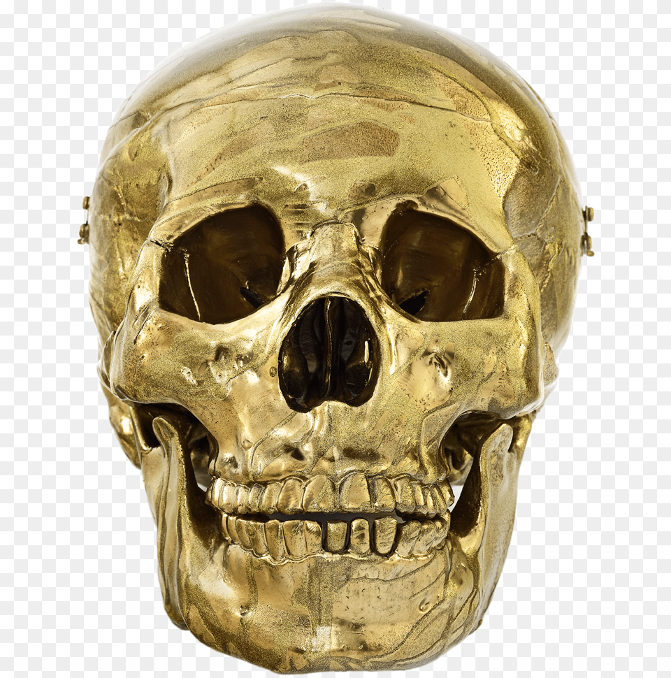 Damien Hirst 39glorious Magnificent Imperial Gold Head39 Skull, Adult, Male, Man, Person Png