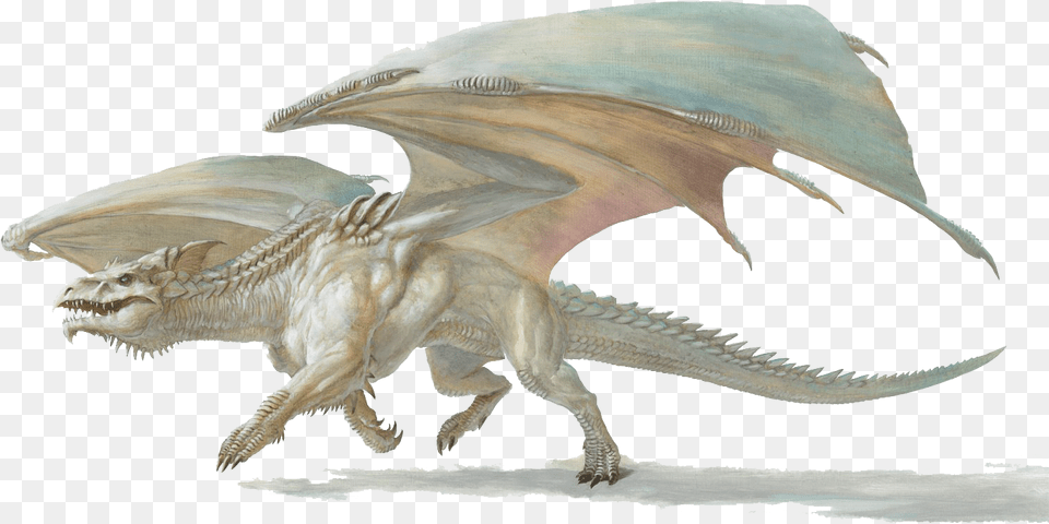Dampd 5e White Dragon, Animal, Dinosaur, Reptile Free Transparent Png
