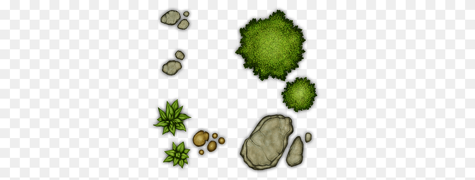 Dampd Inspo In Dampd, Green, Moss, Plant, Leaf Png